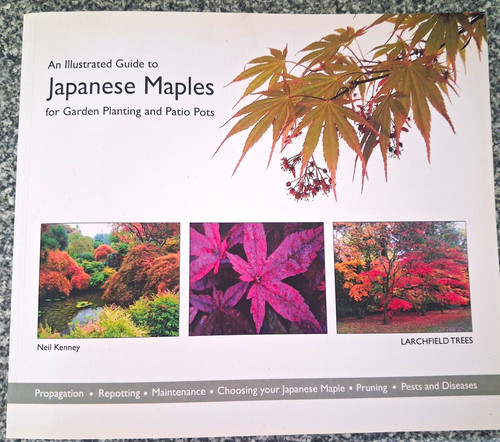 Illustrated guide japanese - illustrated,